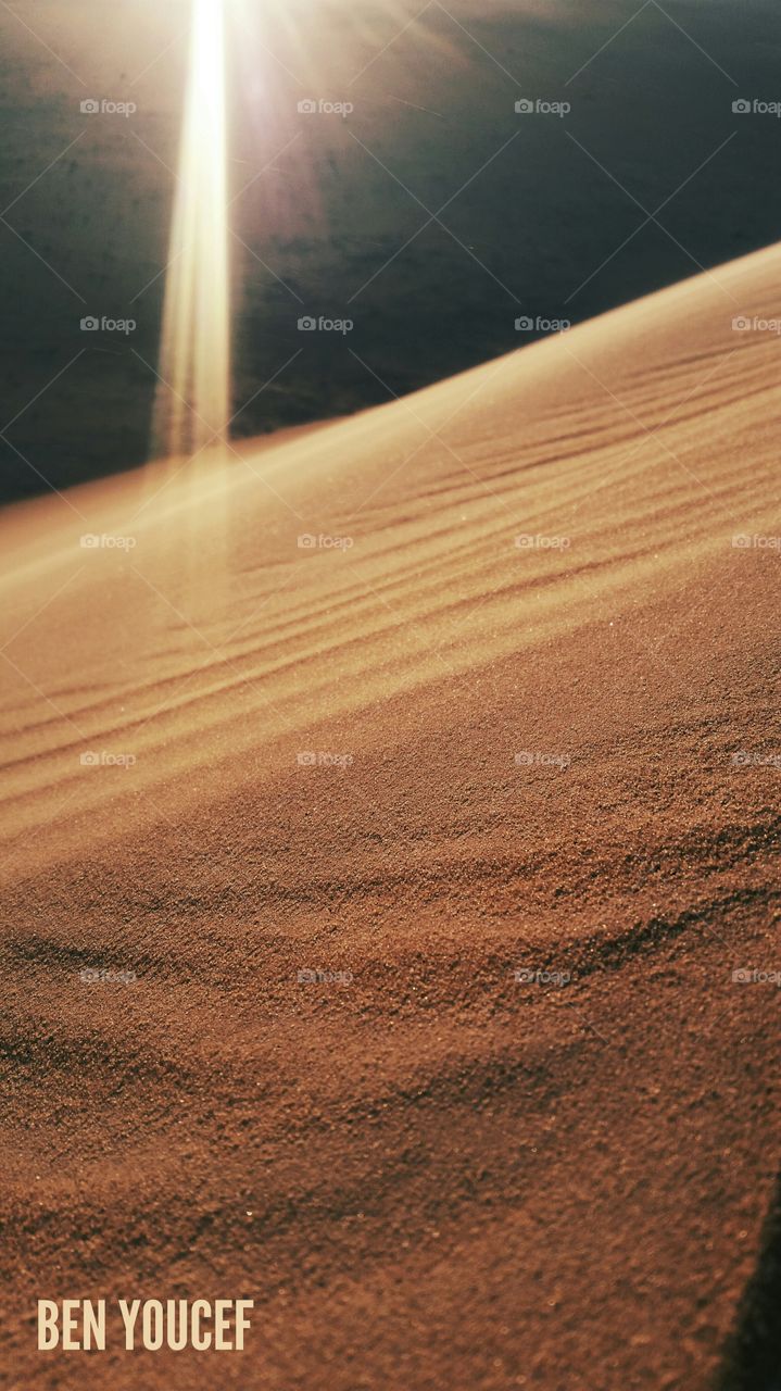 The golden desert sands