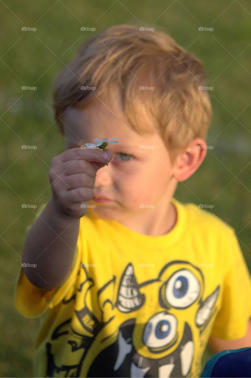 Close-up of a boy holding flower