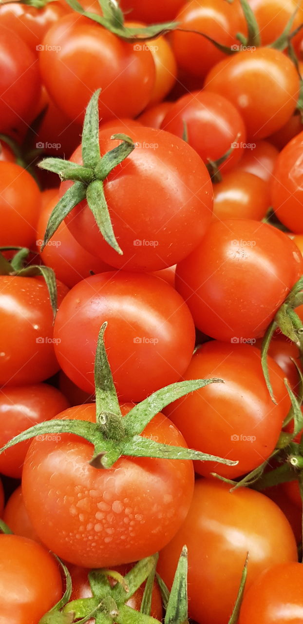 tomato