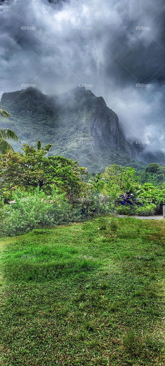 rain day in Paradise