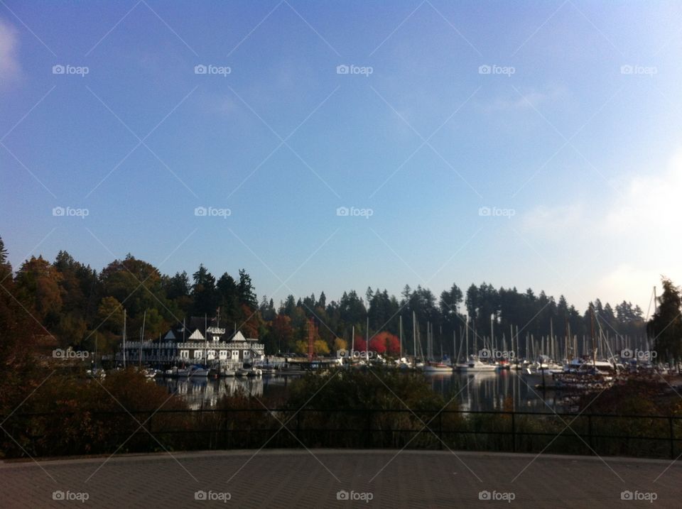 No Person, Tree, Home, Travel, Outdoors