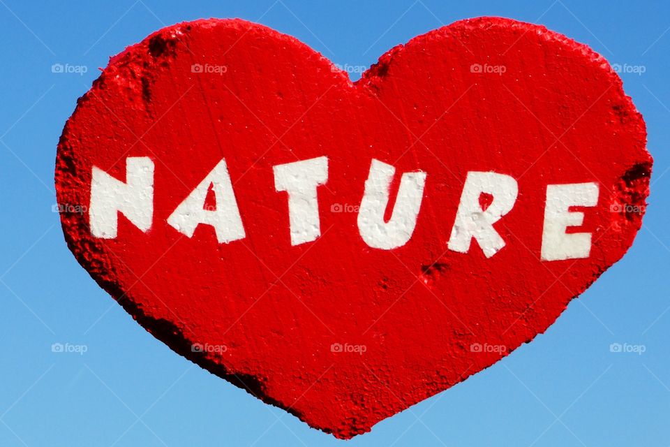 Heart's nature. Love for the nature fly in sky