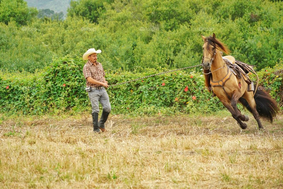 Cowboy Training A Horse