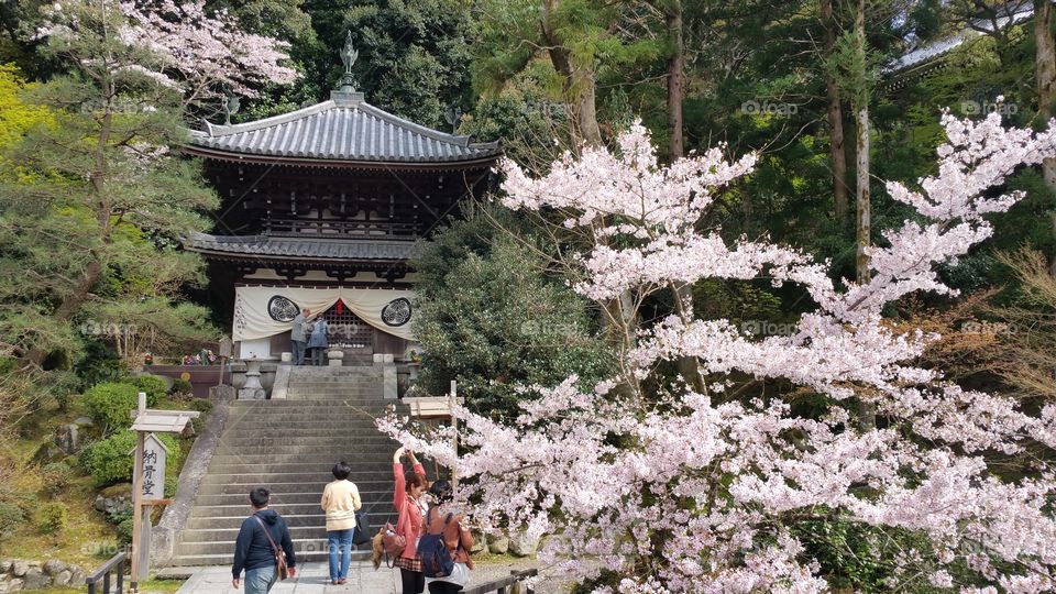 Chion-in Temple in Kyoto, Japan