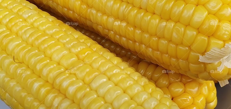 yellow corn kernels