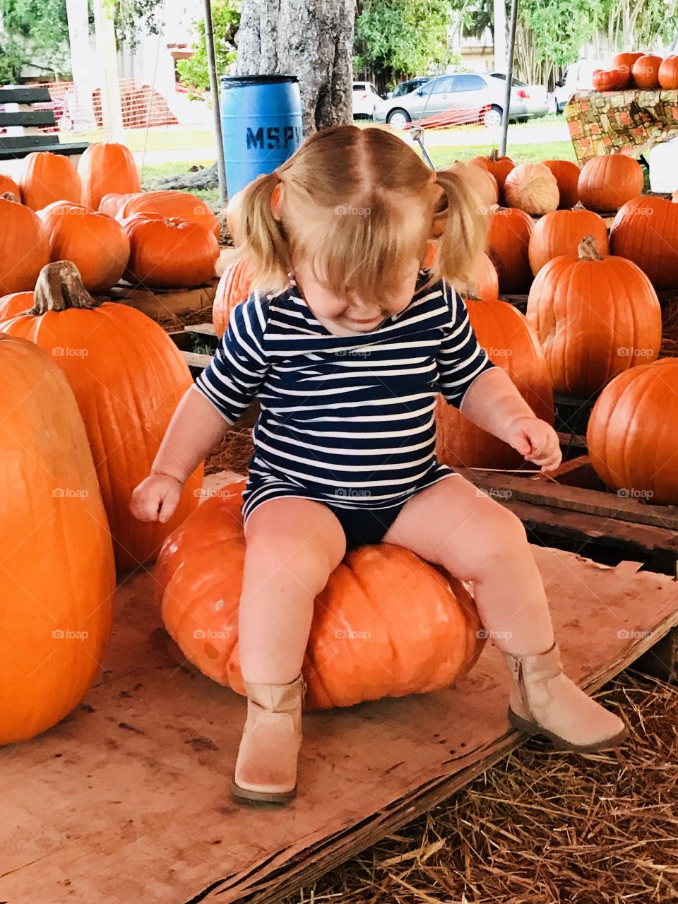 Pumpkin Fun