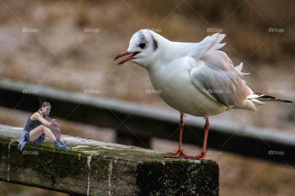 A photoshop try-out (have still a lot to learn)
A bird looking down on a girl who is texting and smoking  let me know what u think of it :) 