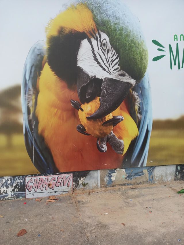 Arte feito em muro.