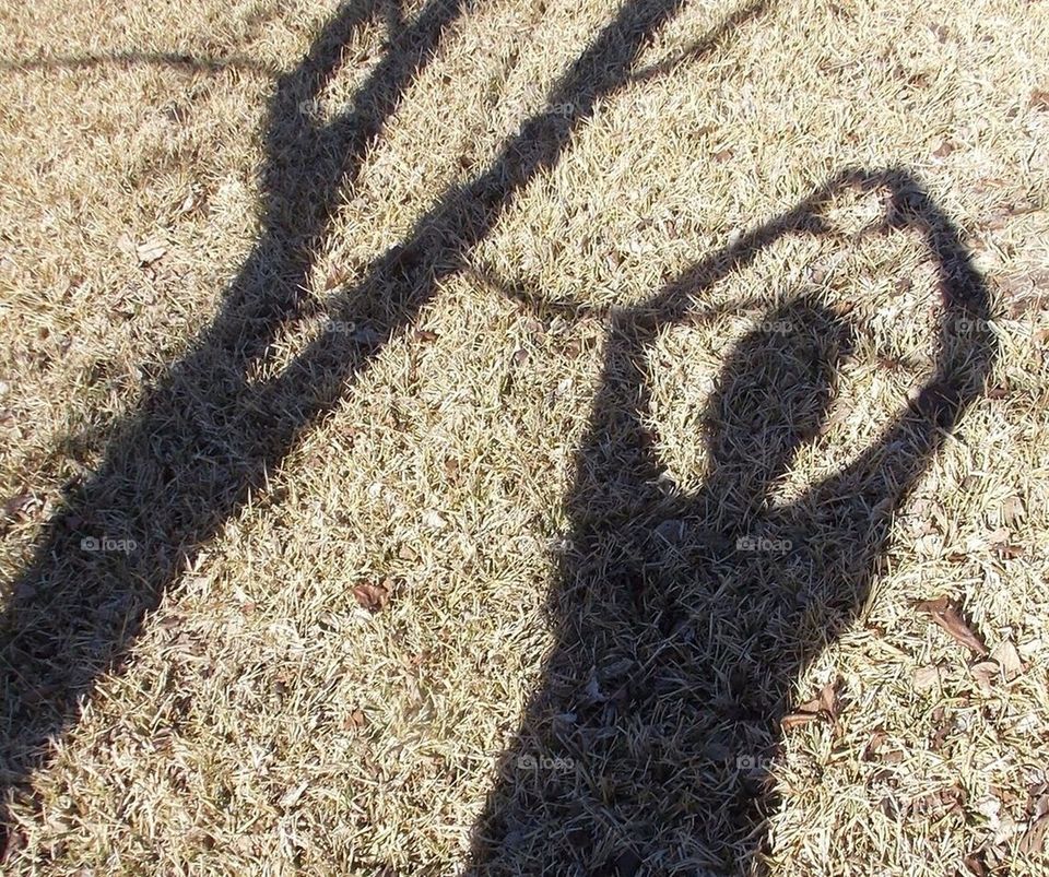 Love shadow 