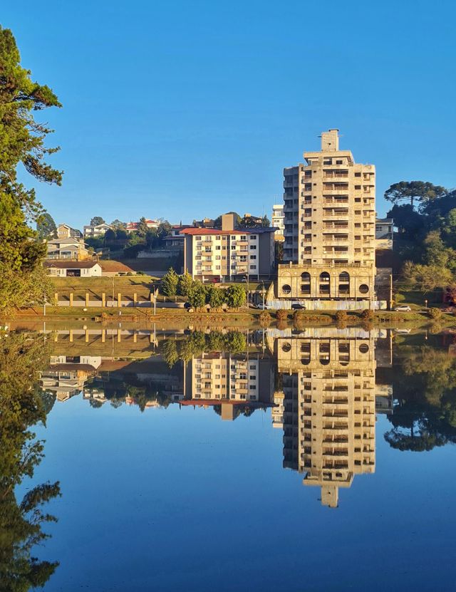 City Reflections