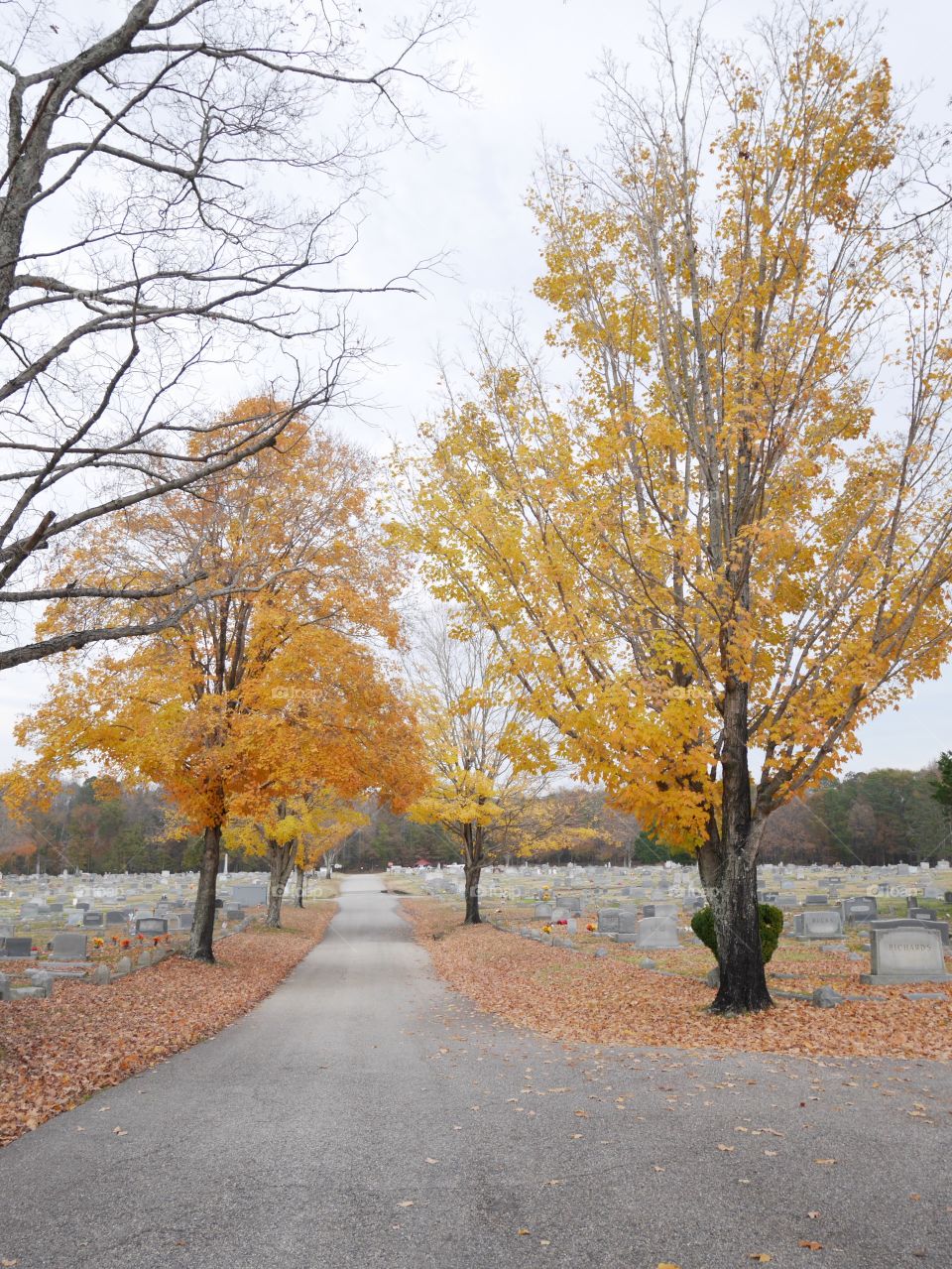 Cemetery 