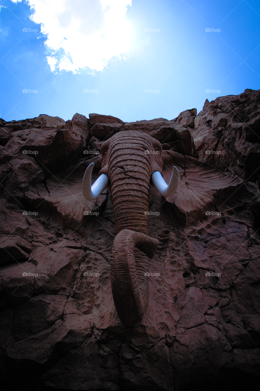 Elephant in cliff
