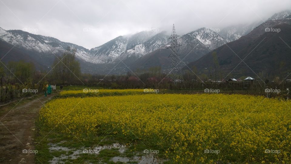 Landscape, No Person, Mountain, Travel, Nature