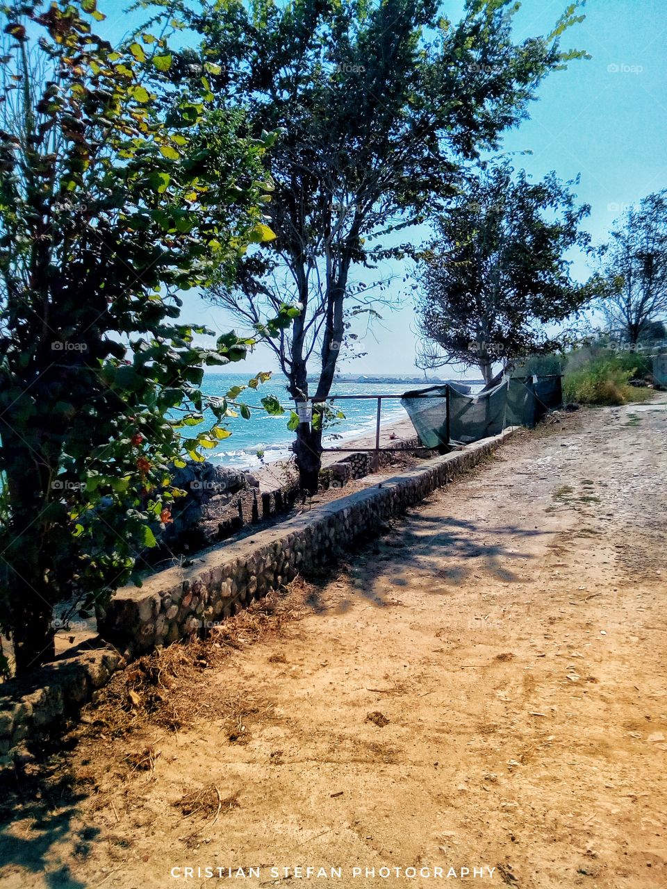 Some trees in a casual day of autumn.