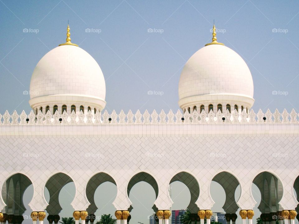 Sheikh Zayed Mosque. Abu Dhabi. 