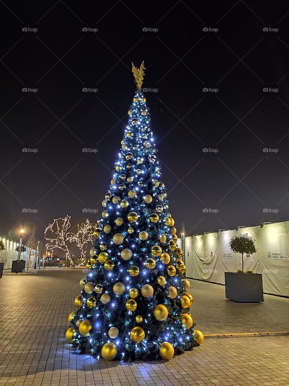 Happy New Year to everyone. enjoy evening