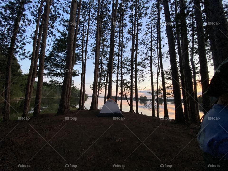 An island Up North, MN