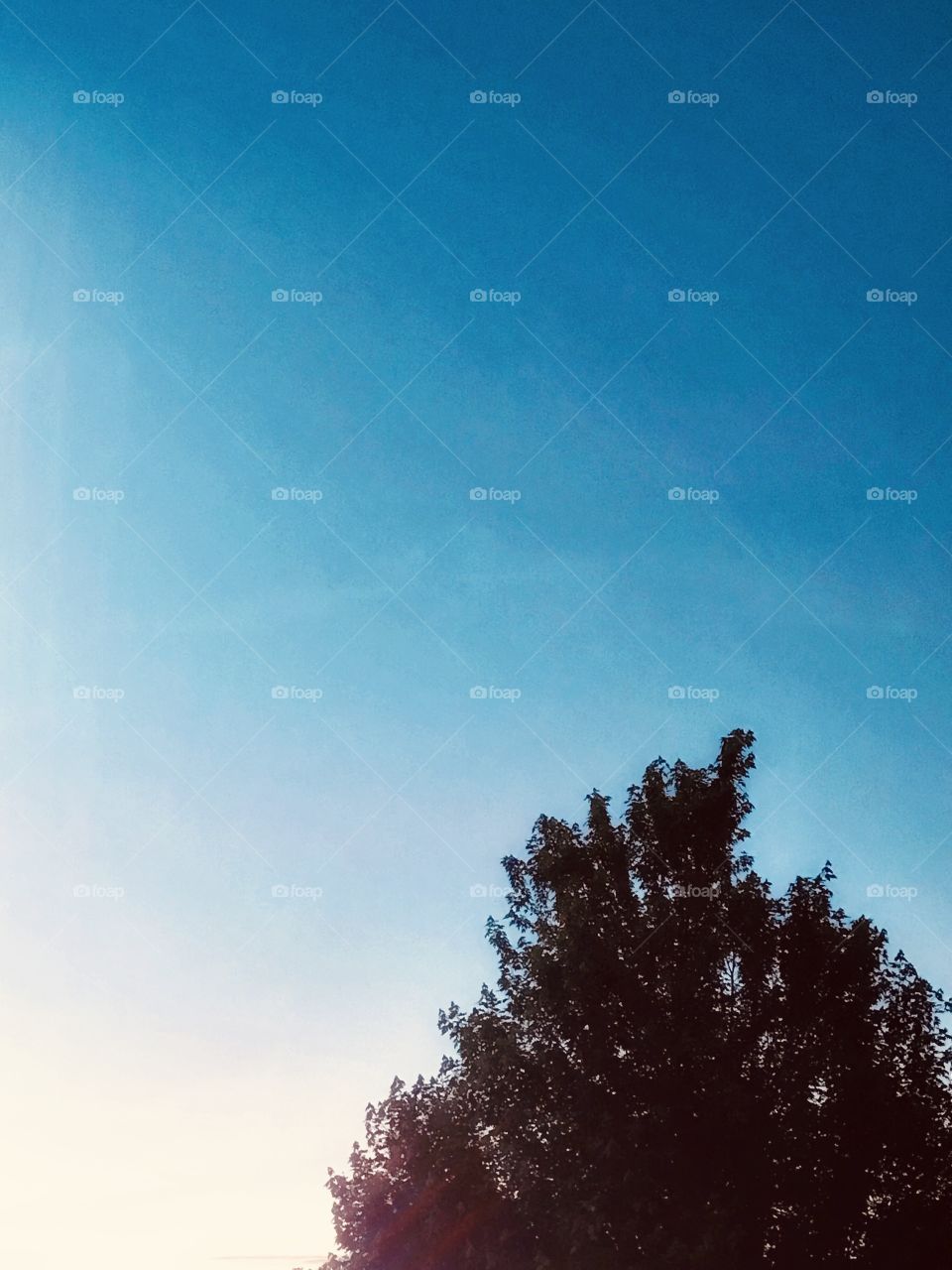 Hear the mountains calling my name. Listen how the breeze tickles my ears and makes me want to answer it’s call. 