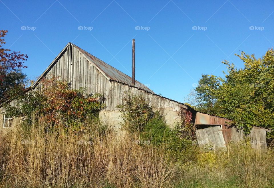 old barn in nature
