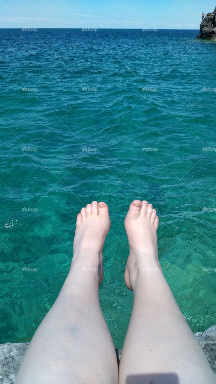 What's in your dreams