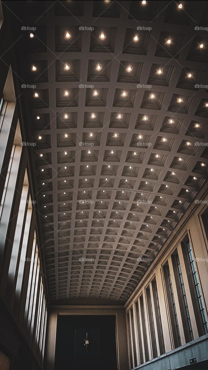 Train station Brussels.  Architectural ceiling! 