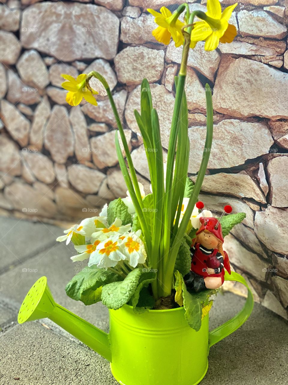 festive flowers on March 8, daffodils, Tulips, beautiful flowers, bouquet , watering can with flowers