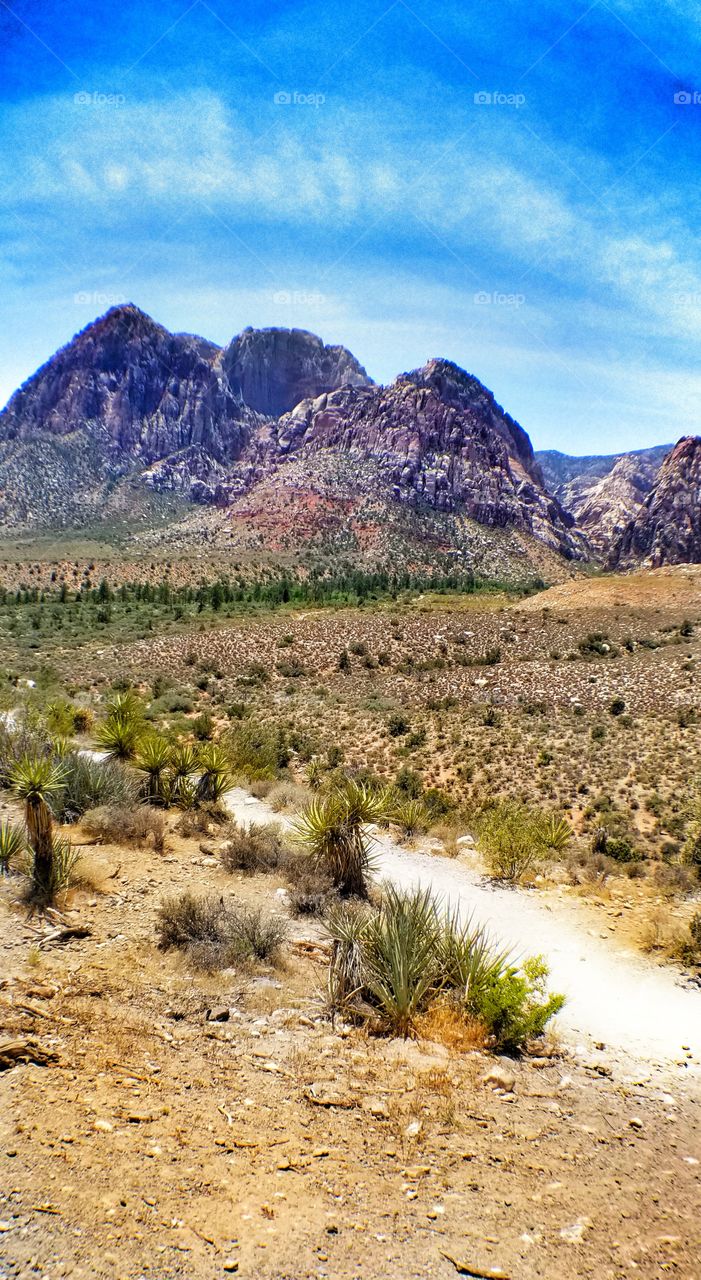 more Red Rock Canyon Conservatory