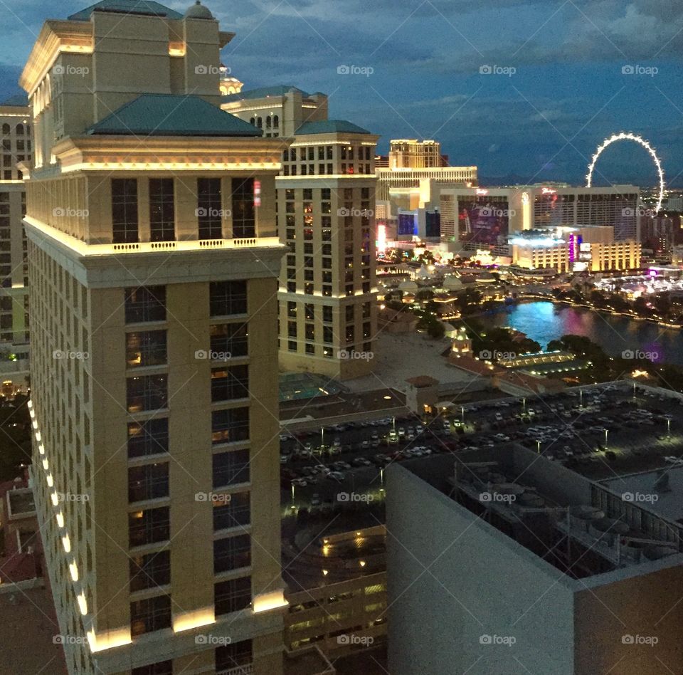 Vegas night