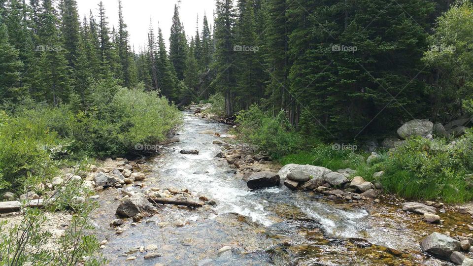 Pretty creek on the trail !