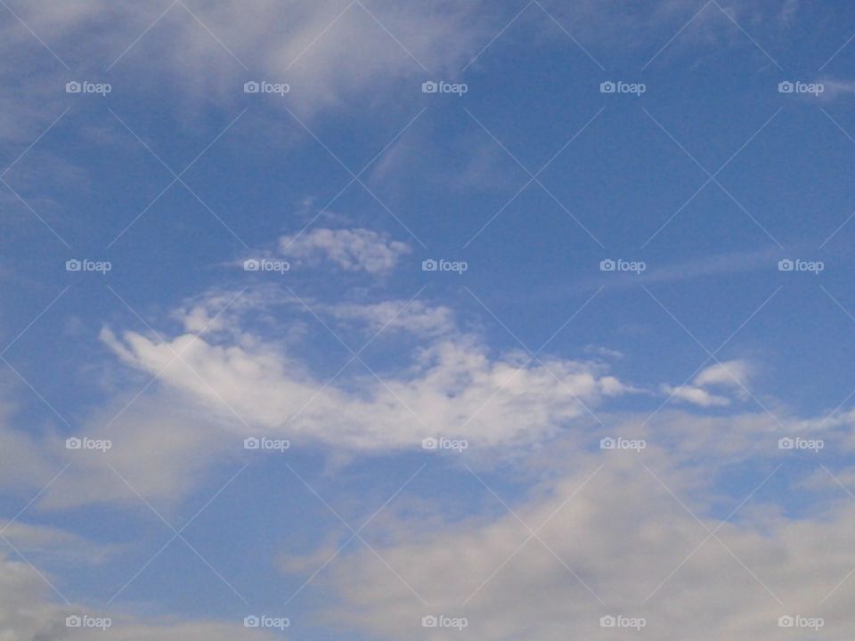 Cute transparent fish swims in the blue sky.