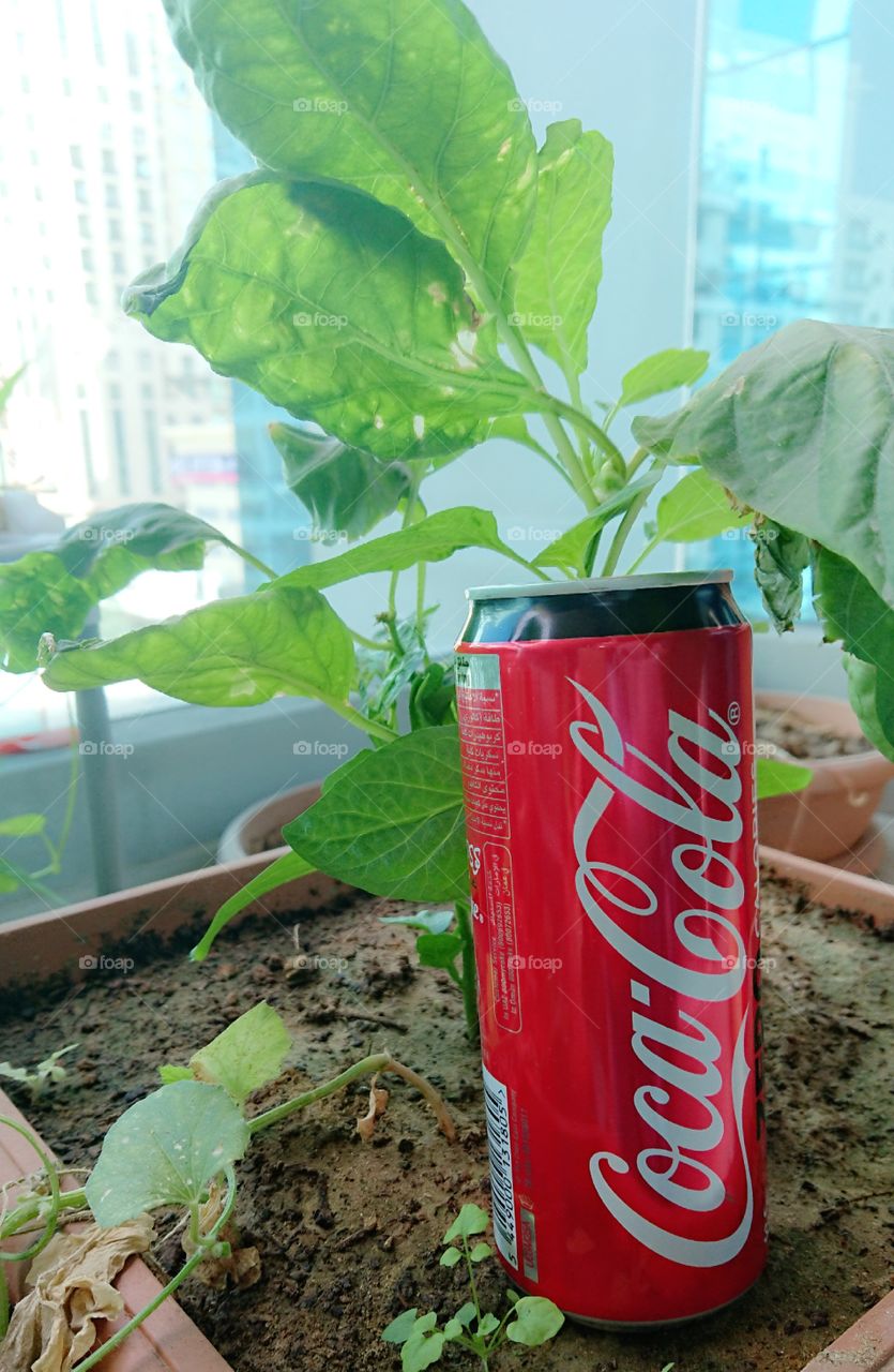 Welcome to Foap Plus!