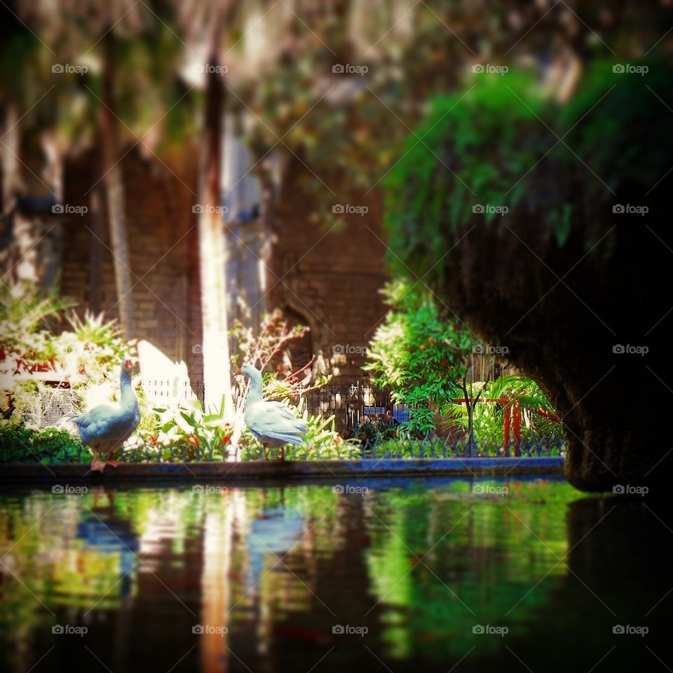 Barcellona hidden garden