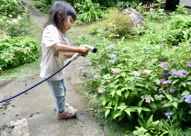 Watering plants