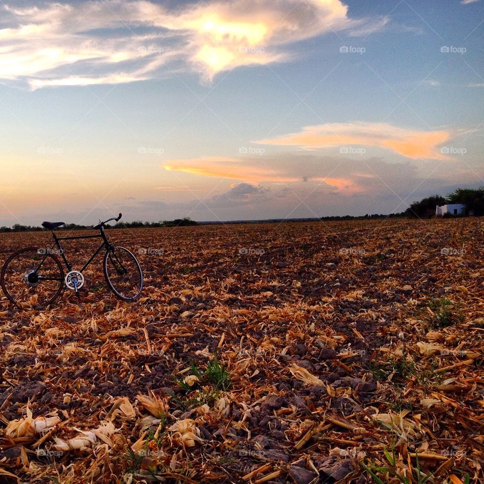 En el campo