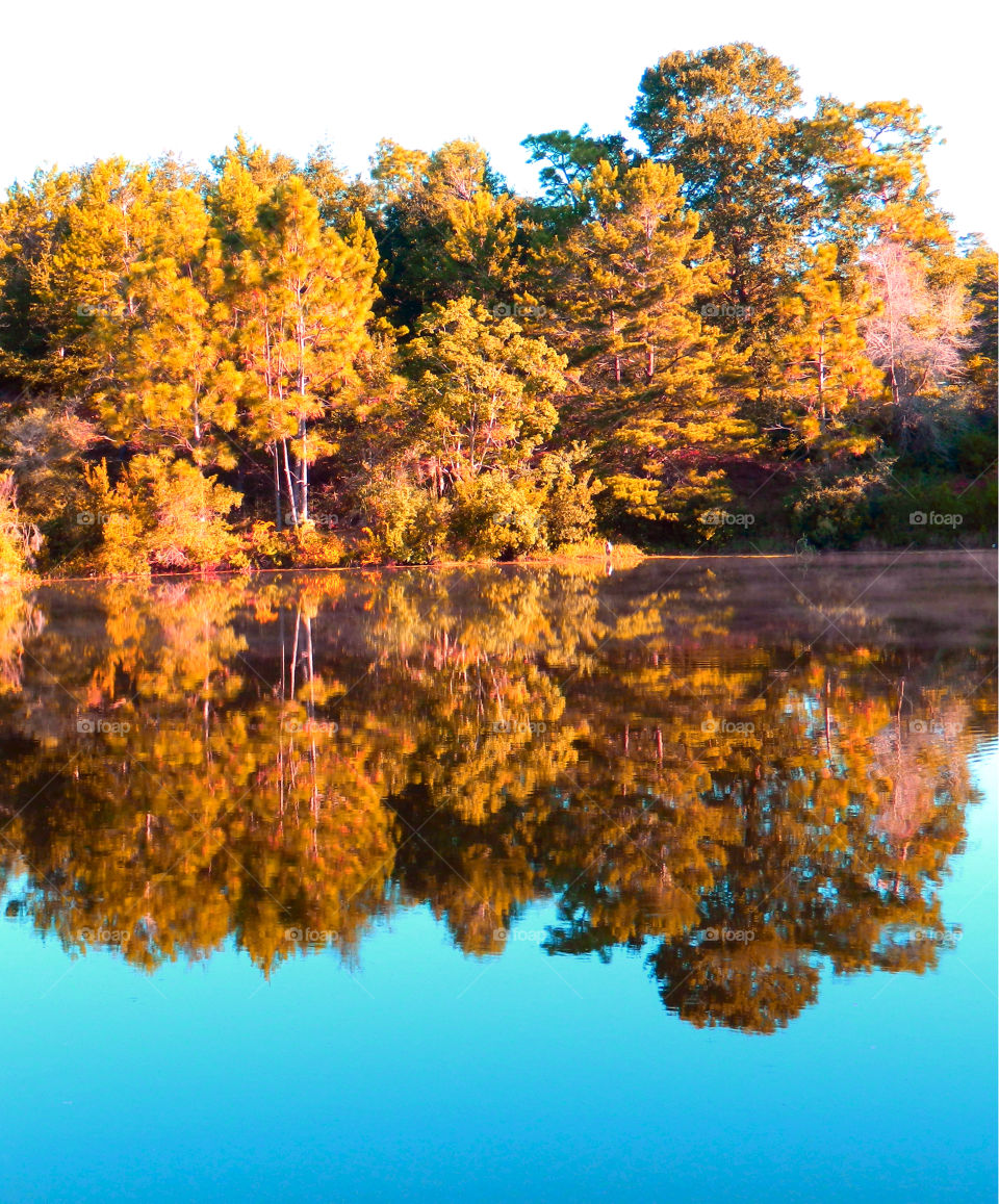 Autumn Rain Reflection 