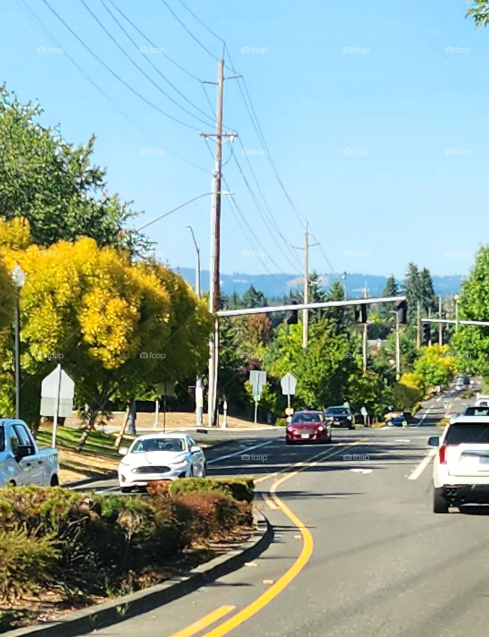 variety of cars driving on a street in Oregon surrounded by blue sky and Autumn trees