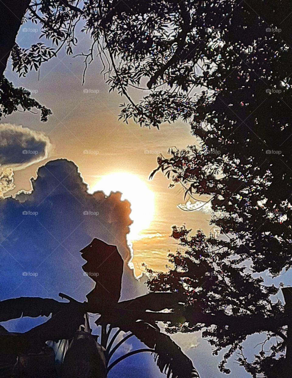 Sun through clouds,sunset,sunlight,sunshine,shining,tree,plant,sun,sunrise,cloudy,dawn,sky,colorful,landscape,spring,summer,palms,nature