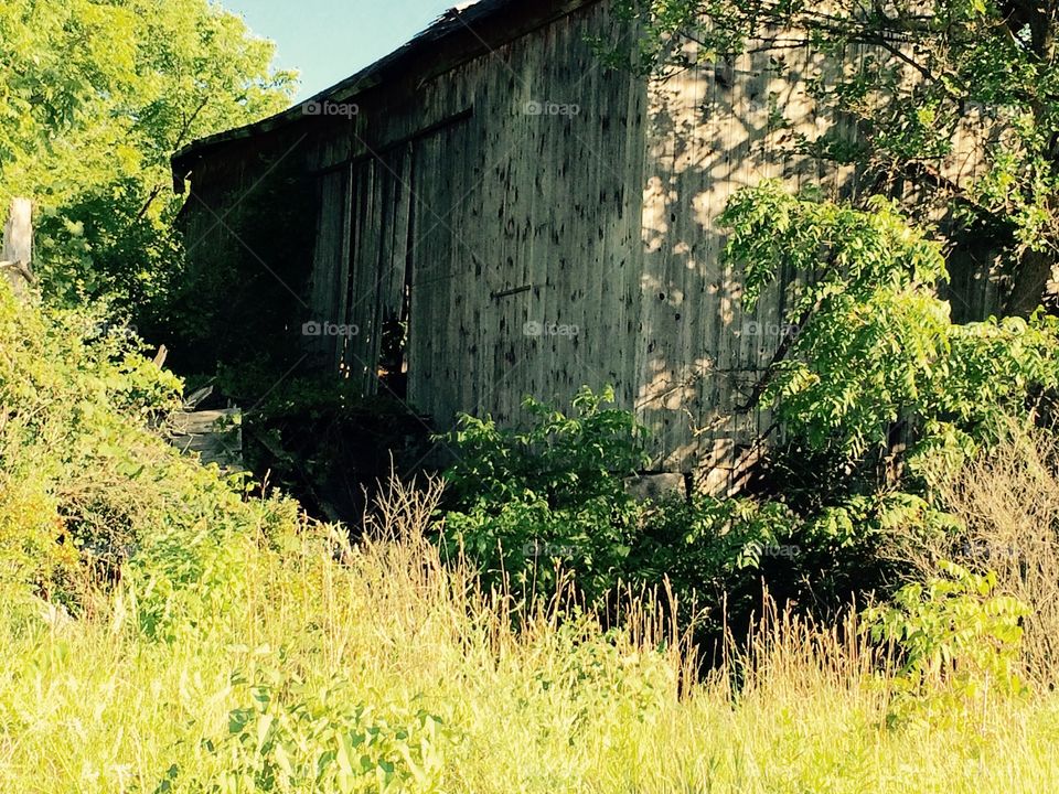 Old barn
