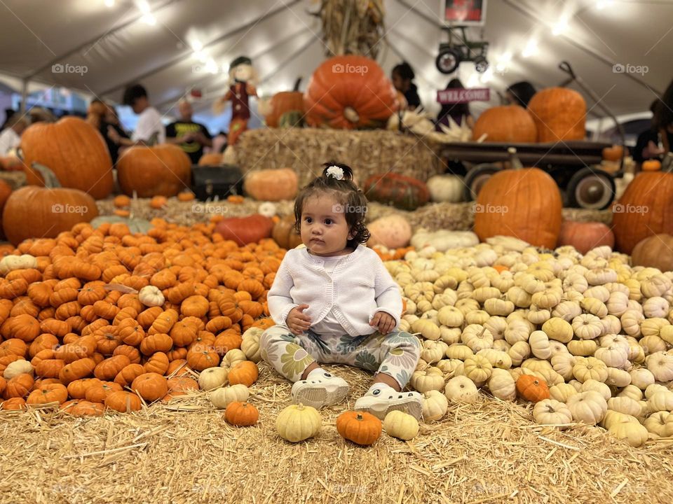 Spooky season! Pumpkin everything 🎃