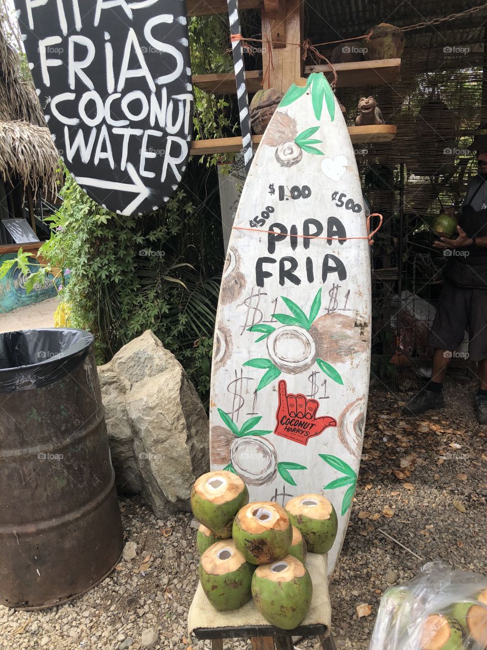 Coconuts for sale 