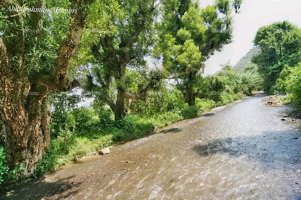 The image embodies a natural natural plate of the mountains of nature, where green agricultural stands are graded on the slopes as if they were lines of a poem, which fog harmoniously wrapped, and clouds hugged them in the mountain knife and the whis