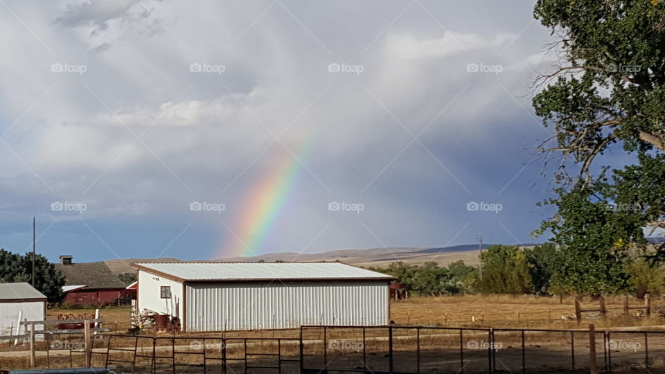 Who can possibly resist a rainbow? Came out to play with our horses and we had a storm headed our way.  I had to get a picture. Blessings come in every view.