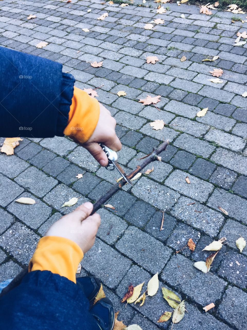 Child carving a wood stick. Boy carving a stick to acute tip