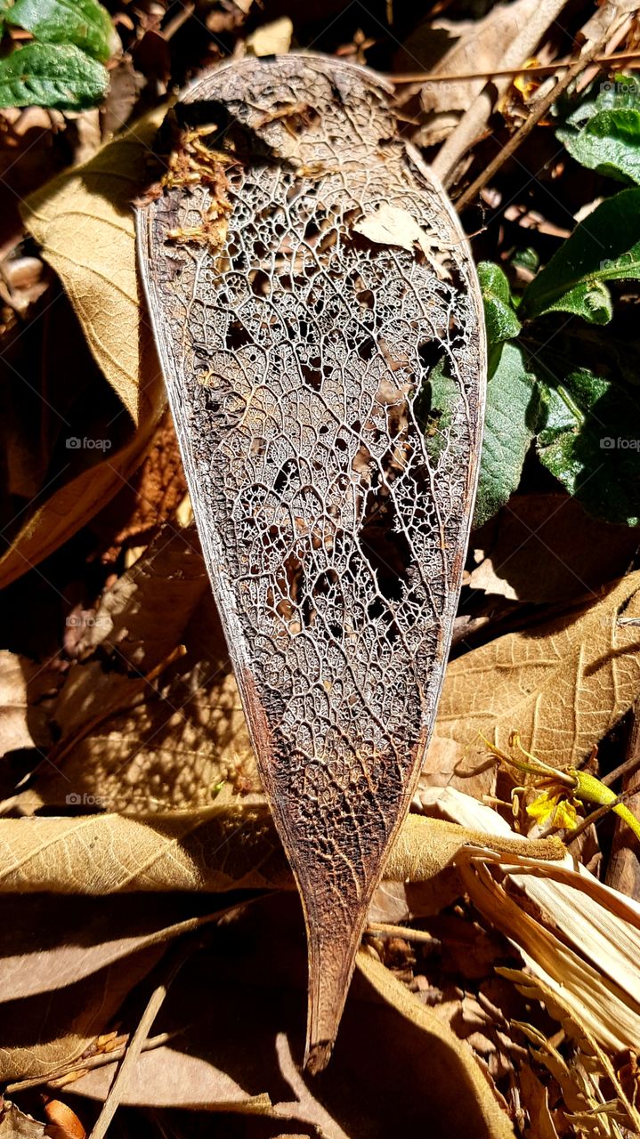 textures of the world