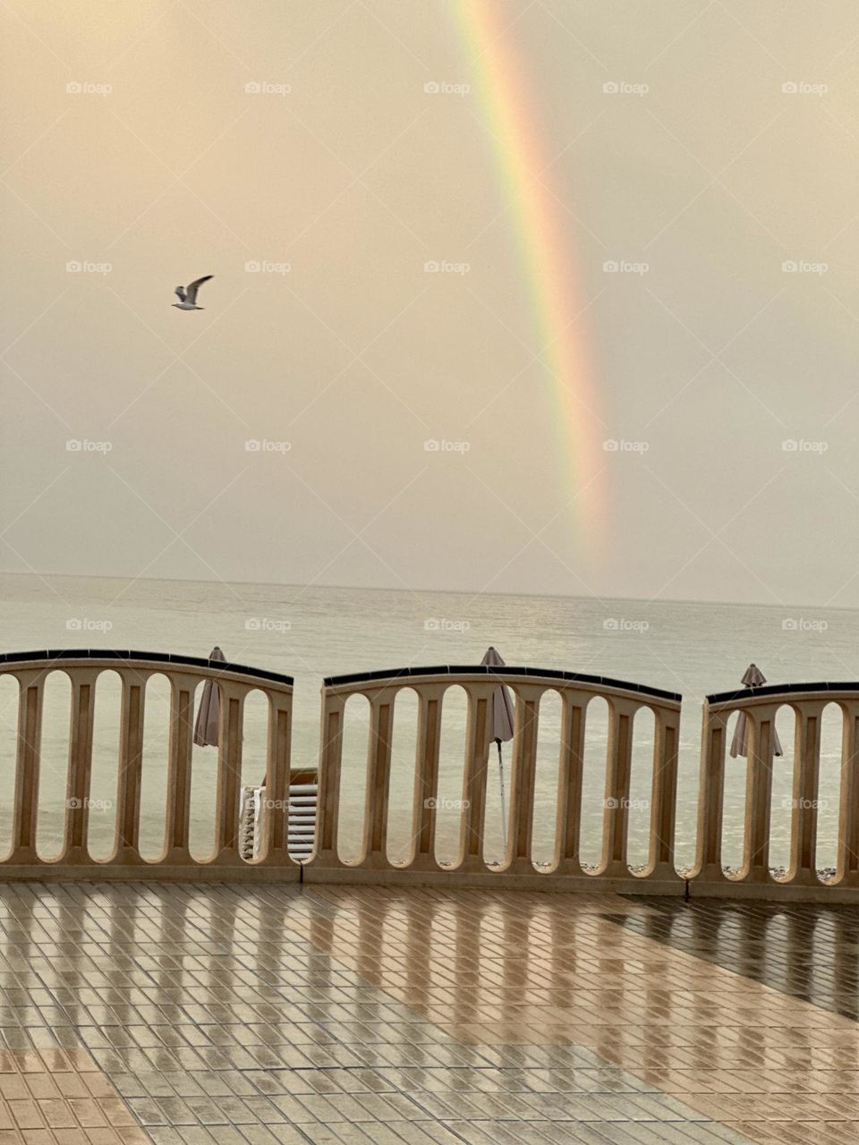 Beach#bird#rainbow