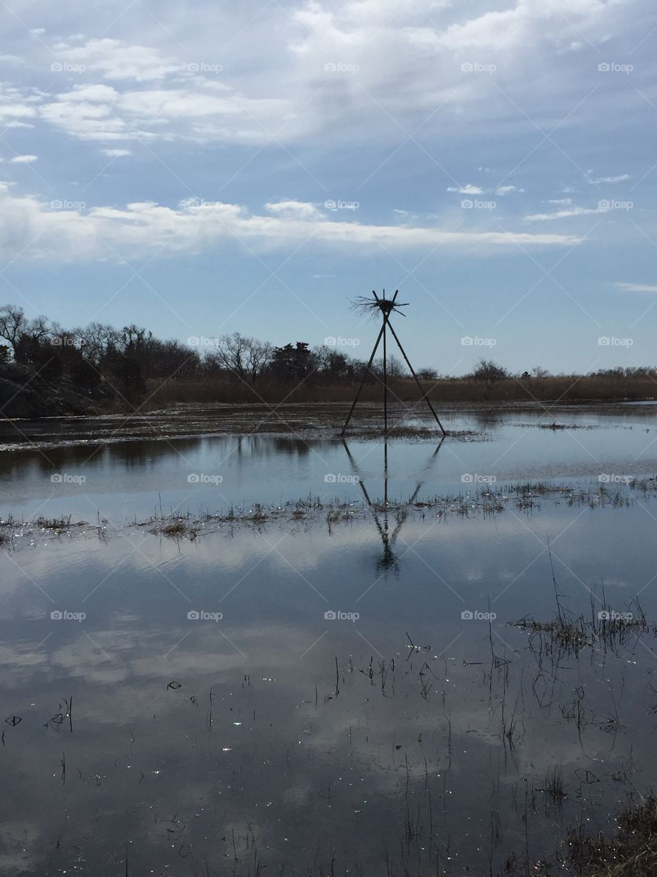 Gooseneck salt marsh. Newport, Rhode Island. Hazard Road. 