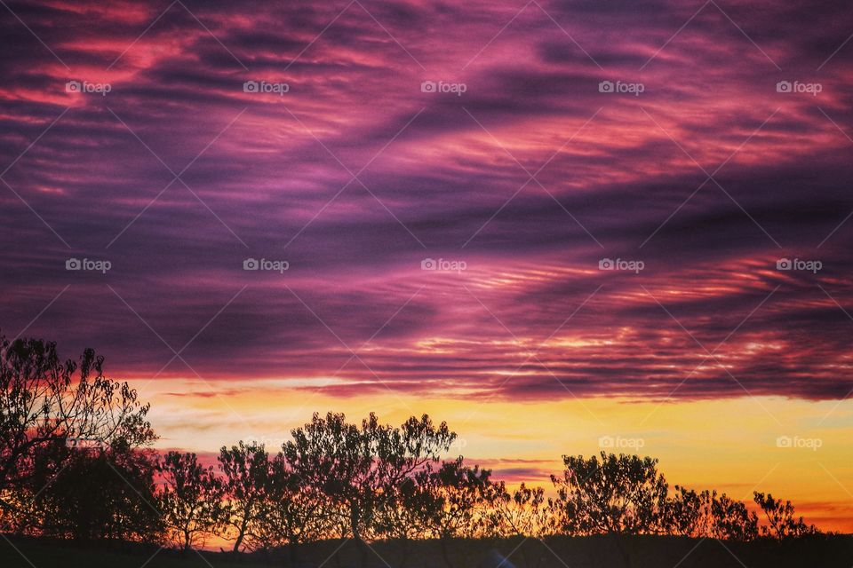 a blanket of purple