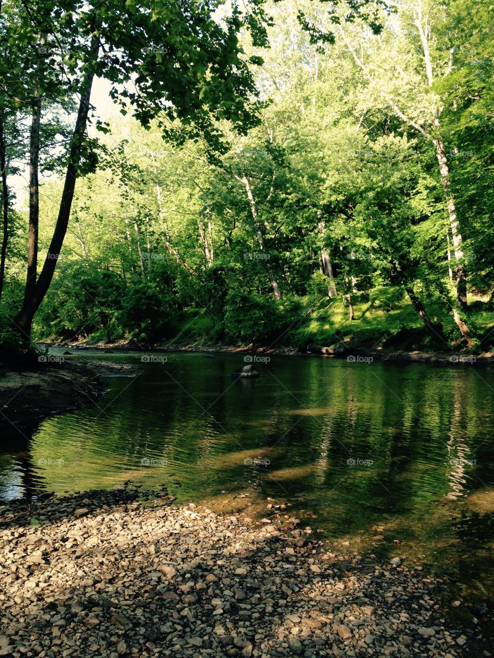 Peaceful river. Patapsco state park in Maryland 