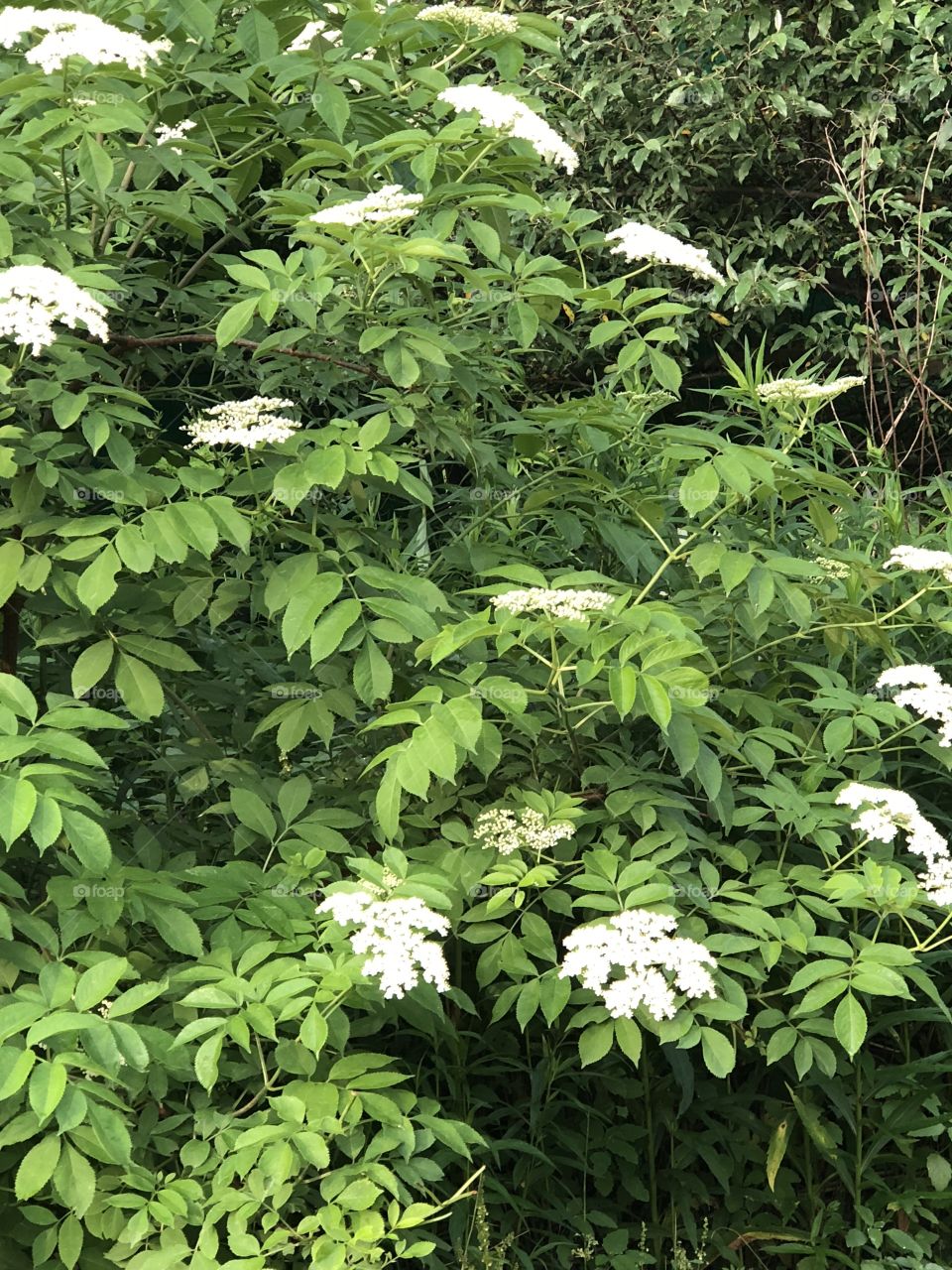 What a beautiful day