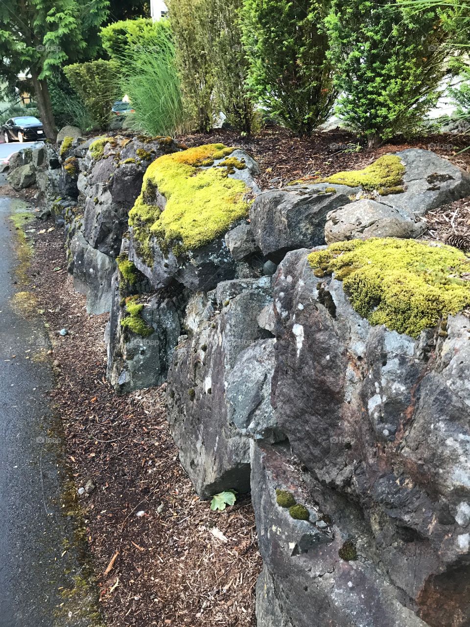 A retainer wall in my apartment complex